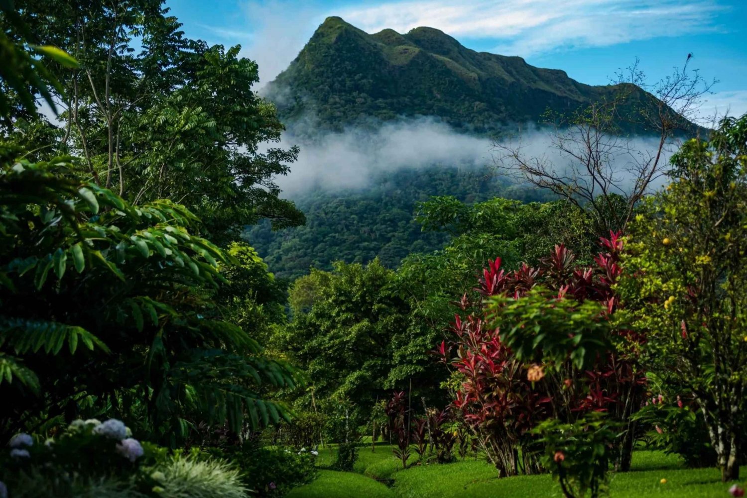 Valle De Anton : sources d'eau chaude sous la pluie et visite de la nature