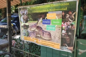 Excursión a las Termas y la Naturaleza del Valle de Antón