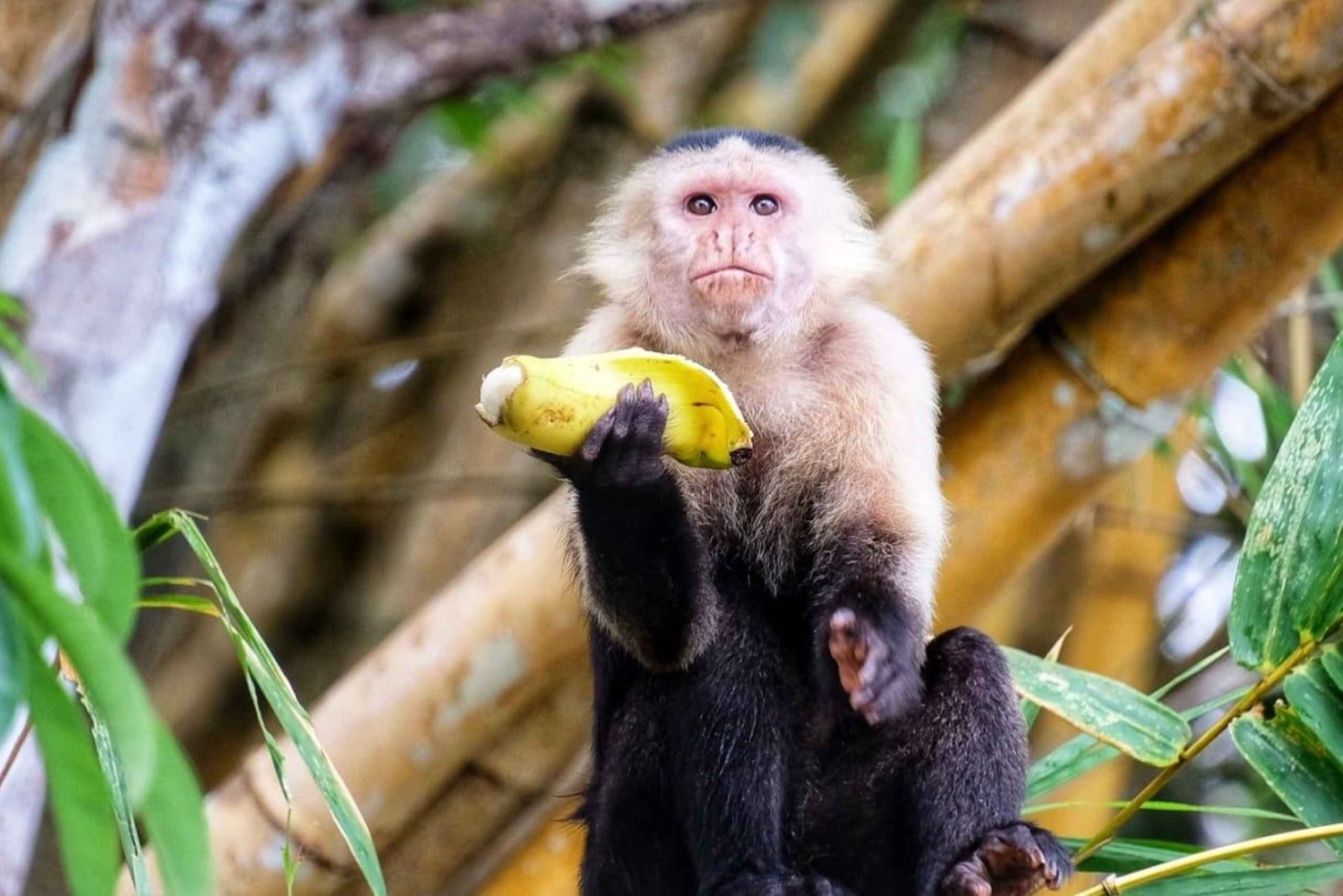 Besøg indianerne og opdag regnskoven
