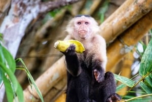 Besøg indianerne og opdag regnskoven
