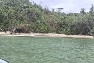 Besøg indianerne og opdag regnskoven