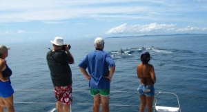 Things to do and visit in Panama City