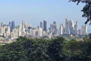 Panama : Habitat des paresseux, ancienne zone du canal et visite de la vieille ville