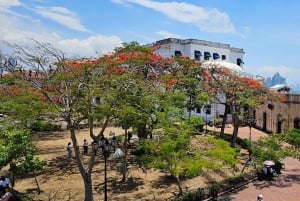 Panama : Habitat des paresseux, ancienne zone du canal et visite de la vieille ville