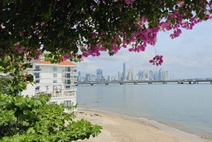 Panama : Habitat des paresseux, ancienne zone du canal et visite de la vieille ville