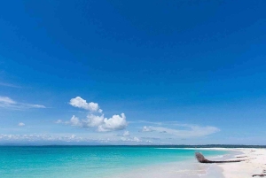 Zapatilla Island Hopping Day Tour