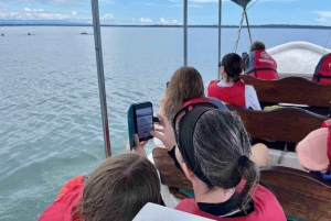 Zapatilla Island Hopping Day Tour