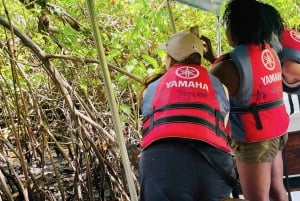 Zapatilla Island Hopping Day Tour