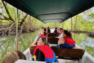 Zapatilla Island Hopping Day Tour