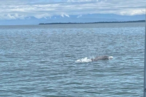Zapatilla Island Hopping Day Tour