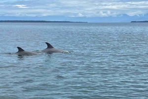 Zapatilla Island Hopping Day Tour
