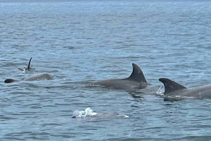 Zapatilla Island Hopping Day Tour