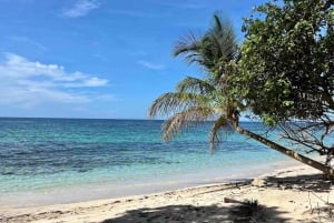 Zapatilla Island Hopping Day Tour