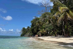 Zapatilla Island Hopping Day Tour