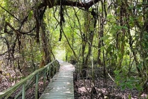 Zapatilla Island Hopping Day Tour