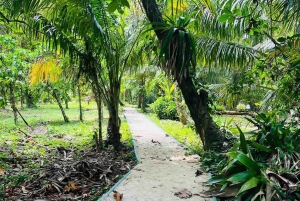 Zapatilla Island Hopping Day Tour