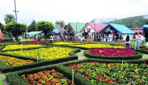 Fair of flowers and coffee