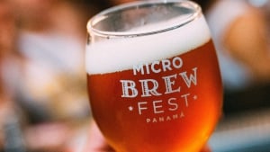 Micro Brew Fest