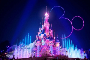 Paris: Disneyland Entry Ticket & Private Round-Trip Transfer