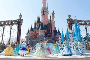 Paris: Disneyland Entry Ticket & Private Round-Trip Transfer