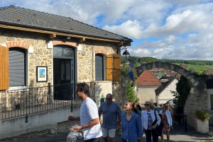 Authentic Champagne Tour: 3 vineyards, 10 Tastings & Lunch