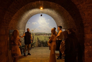 Authentic Champagne Tour: 3 vineyards, 10 Tastings & Lunch
