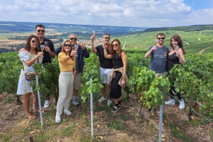 Authentic Champagne Tour: 3 vineyards, 10 Tastings & Lunch