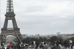 Lo mejor de París: tour a pie de los 40 favoritos 5 horas