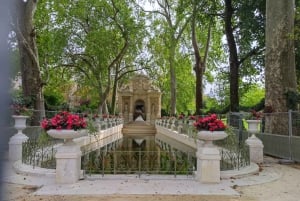 Lo mejor de París: tour a pie de los 40 favoritos 5 horas