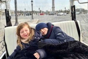 Best of Paris in 2 Hours by Private Electric TukTuk