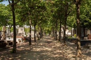 Best View of Paris: Montparnasse Tower Guided Tour