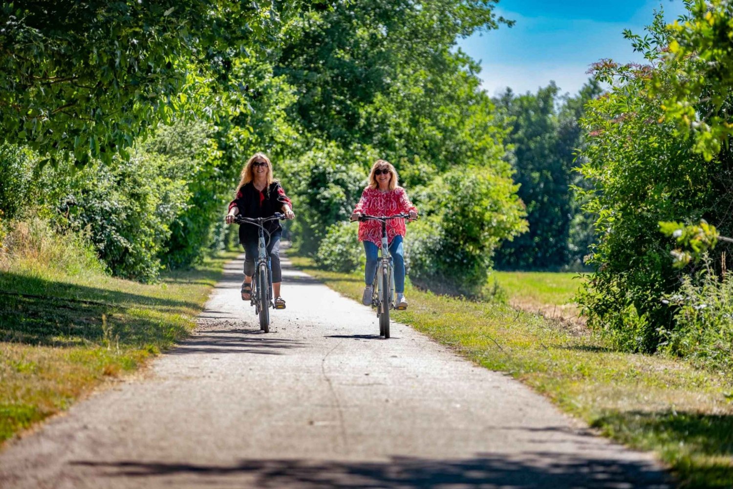 Wycieczka rowerowa z Vernon do Giverny z lokalnym przewodnikiem