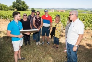 From Paris: Burgundy Region Winery Tour with Tastings