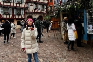 Capital of Christmas from Paris Private 2 Day Tour