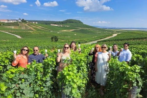 Excursion d'une journée à Chablis au départ de Paris, comprenant 8 dégustations et le déjeuner