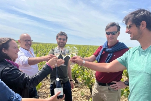 Excursion d'une journée à Chablis au départ de Paris, comprenant 8 dégustations et le déjeuner