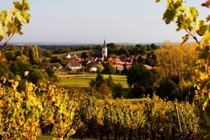 Excursion d'une journée à Chablis au départ de Paris, comprenant 8 dégustations et le déjeuner