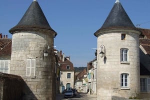 Excursion d'une journée à Chablis au départ de Paris, comprenant 8 dégustations et le déjeuner