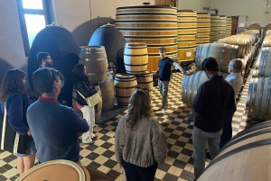 Excursion d'une journée à Chablis au départ de Paris, comprenant 8 dégustations et le déjeuner