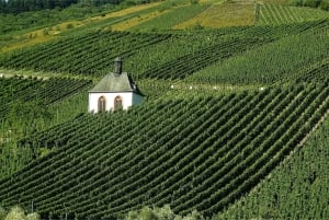 Excursion d'une journée à Chablis au départ de Paris, comprenant 8 dégustations et le déjeuner