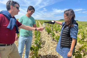 Excursion d'une journée à Chablis au départ de Paris, comprenant 8 dégustations et le déjeuner