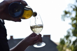 Excursion d'une journée à Chablis au départ de Paris, comprenant 8 dégustations et le déjeuner