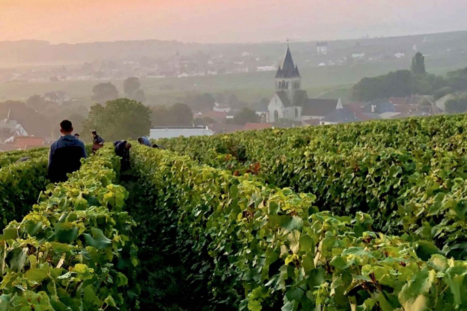 Excursion privée d'une journée en Champagne Moet Chandon, Pommery, Pressoria