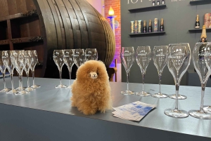 Privat dagsudflugt til Champagne: Epernay & Reims 9 glas