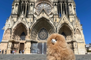 Privat dagsudflugt til Champagne: Epernay & Reims 9 glas