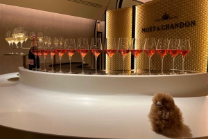 Privat dagsudflugt til Champagne: Epernay & Reims 9 glas