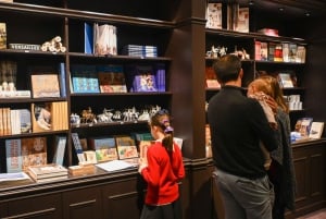 Cité de l'Histoire - Toegangsbewijs