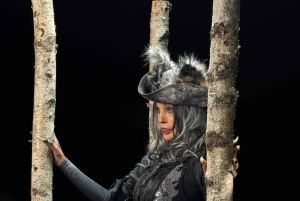 Cité Immersive des Fables - Biglietto d'ingresso