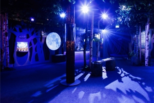 Cité Immersive des Fables - Biglietto d'ingresso