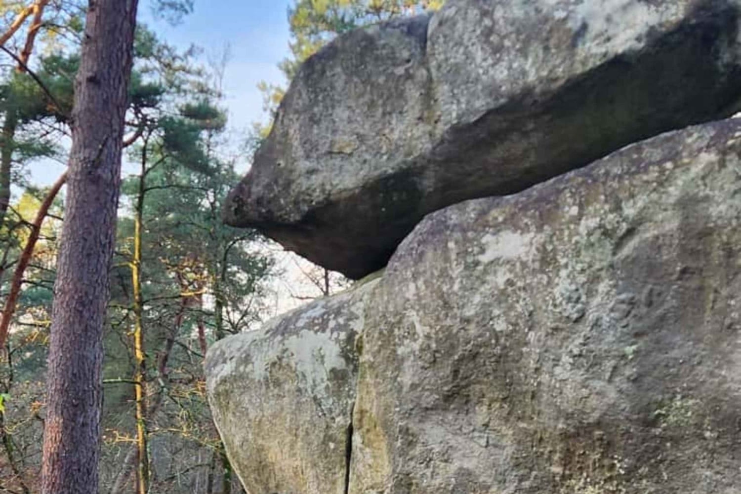 Escalada em Fontainebleau a partir de Paris com guia certificado